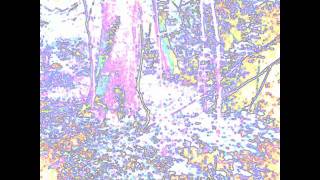 How to Destroy Angels - The Believers