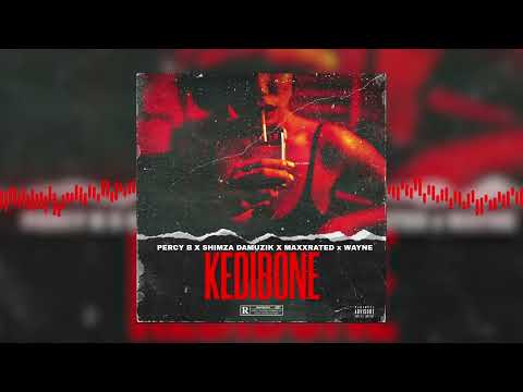 Percy B & Shimza Damuzik - KEDIBONE ft. Damuzik & Wayne (Audio Visualizer)
