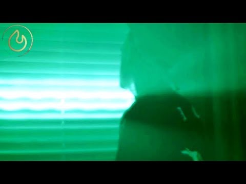 Nevertel — Down
