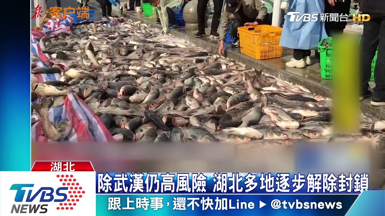 除武漢仍高風險 湖北多地逐步解除封鎖