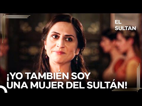 They Enraged the Sultan's Quietest Wife! - Suleiman's Women #118 | The Sultan