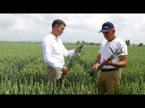 Ziua 36 - O ferma bazata pe 40 de ani de experienta si o fosta asistenta ajunsa fermier