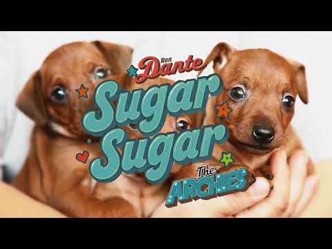 Ron Dante & The Archies - Sugar, Sugar (With Dogs!)