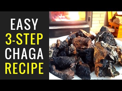 EASY Chaga Mushroom Recipe - From TREE to TEA