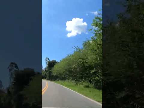 Interior de Minas: Indo para Dores de Campo. #minasgerais #interiordeminas #viagem