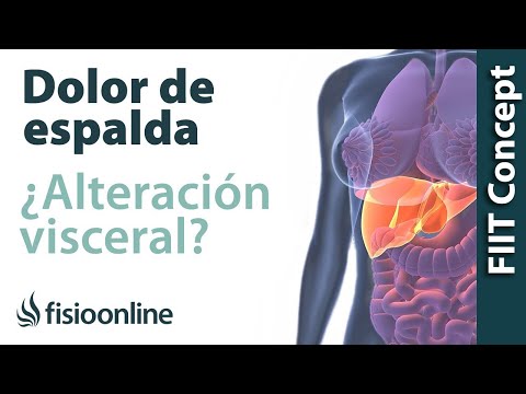 Tratamiento para dolor de espalda cervical y dorsal provocado por una alteración del estómago
