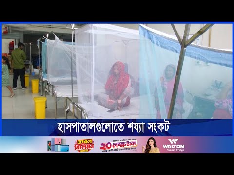 ডেঙ্গুতে উদ্বেগজনকভাবে বাড়ছে মৃত্যুহার, মৃত ২৫৭ জন