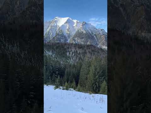 Iarna, de Ziua Unirii în Munții Bucegi la Cabana Diham, 24 ianuarie 2026 #romania #munte #nature
