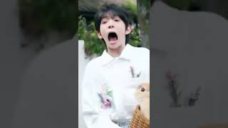 Download lagu TF family Chen Junming and Zuo Qihan and Yang Bowen 😂😂😂😂😂 mp3