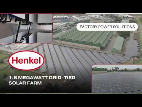 Eastern Storm Girls U19 vs Limpopo Girls U19 - CSA U19 Girls Week | NWU Oval