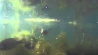 Kruder & Dorfmeister - Trans fatty acid