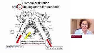 001  Renal Physiology for the Boards