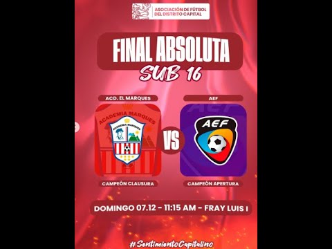 Liga @diablitos_vzla Platino FINALES ABSOLUTAS Sub-16