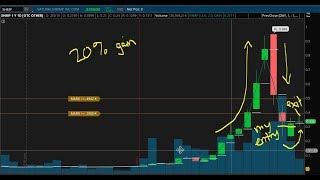 How to Dip Buy a Former Supernova (22% Gain on $SHMP)