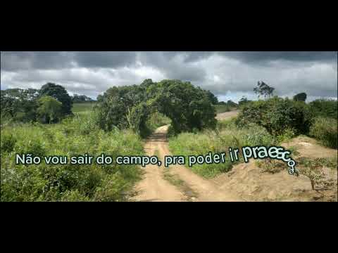 Não vou sair do campo | Gilvan Santos