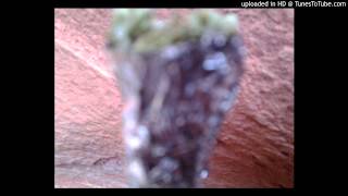 SWEET JANE -- THE SUGARCUBES