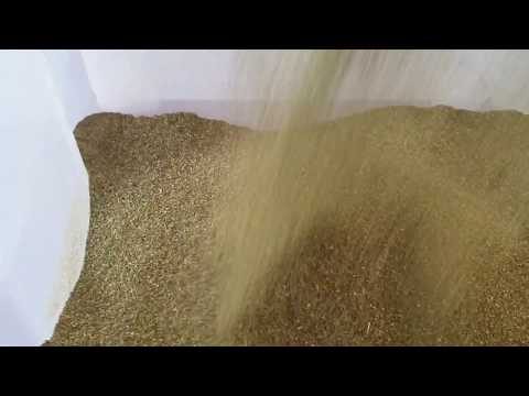 Hemp processing line 2020