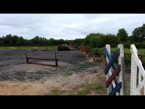 If Carlsberg done horses. . .