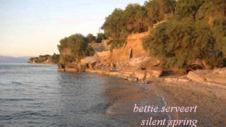 Bettie Serveert - Silent Spring