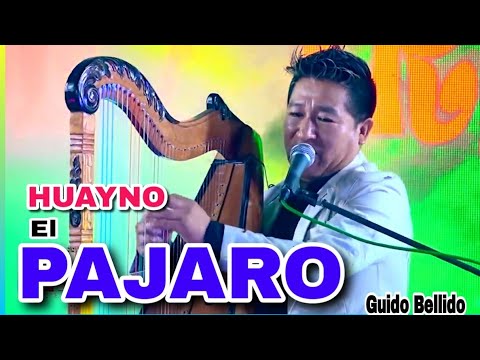 Huayno del pajaro|No tiene pies pero se para|exito viral
