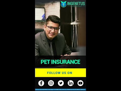 , title : 'Pet Insurance |  Ingenetus #Shorts'