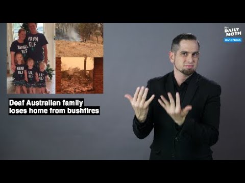 The Daily Moth 1-6-20