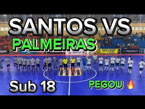 JOGÃO PALMEIRAS X SANTOS 🏆🎥🔥✅ MATA MATA