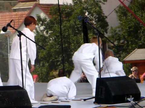 Dambořice 2008 Nenkovjánek