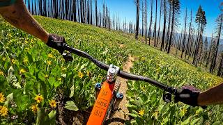 It’s definitely worth the 4,000 foot climb | Mountain Biking Indian Falls Ridge