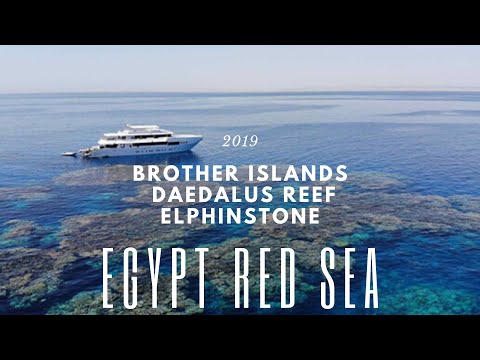 Travel ∙ Ägypten Rotes Meer ∙ Tauchsafari Brother Islands, Daedalus Riff, Elphinstone Riff ∙ 2019