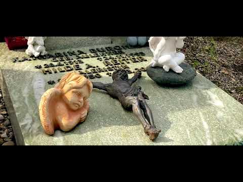 Rudolf L. Reiter Bis unsere Leben wieder eins sind...