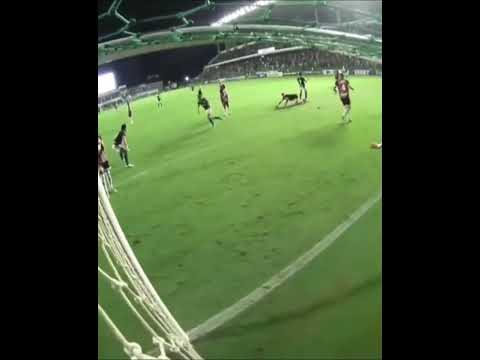 GOIÁS Na FINAL | Goiás 3 x 0 Anápolis | Gols | Campeonato Goiano 2023