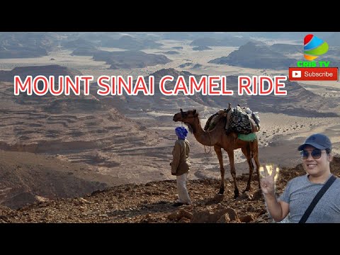 MOUNT SINAI CAMEL RIDE ADVENTURES/CRIS TV/CLIMBING MOUNT SINAI