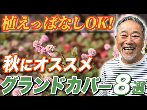 テラスカバー: 比較して最も重要な素材 トピックス