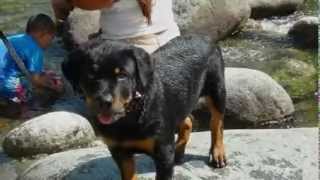 REGALO CARO VALENTIN ELIZALDE