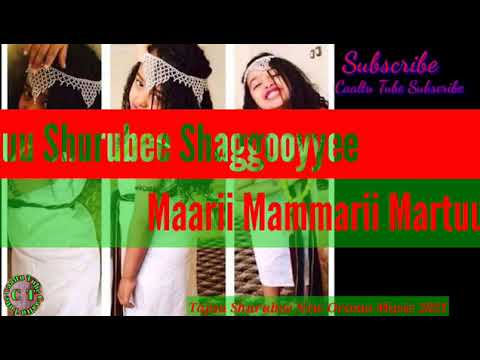 Tajju Shurbe Shaggoye Maarii Mammarii Martu#foryou #viral #oromo #director #DireCity