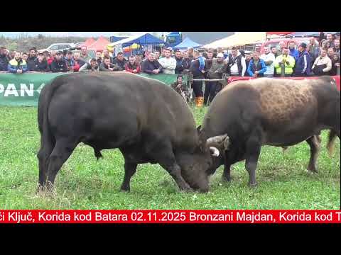 Korida kod Admira Lapandića Banovići 2025