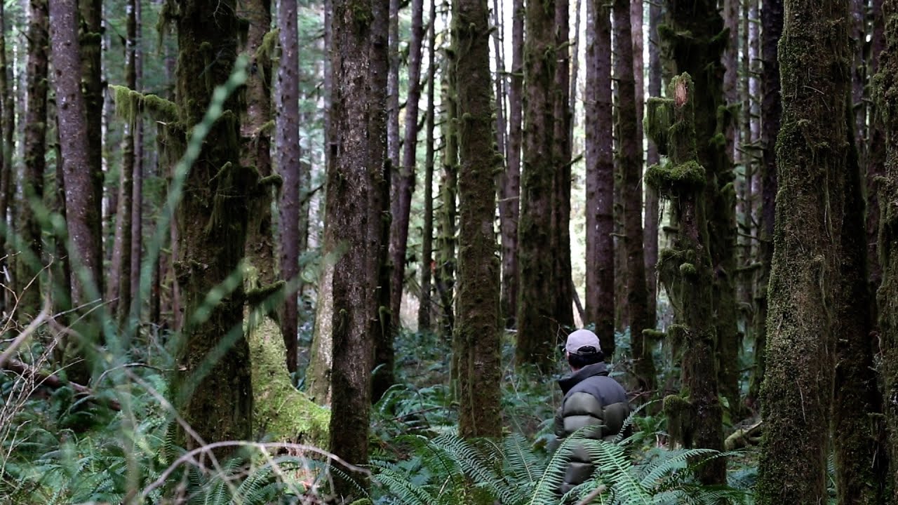 A Farmer Watches A "Huge Man Like Being" Scoop Up Two LIVE Wild Turkeys And RUN   HD 1080p