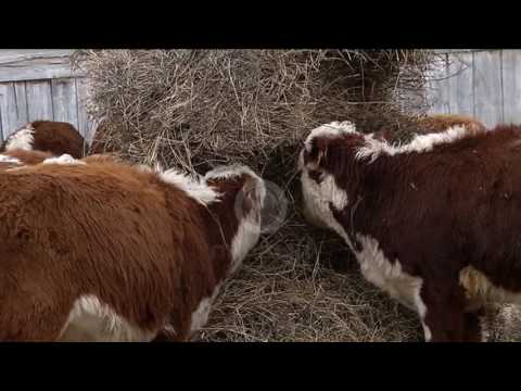 Депутат Сергей Абрамов официально лишился мандата народного избранника.