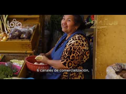 La Prefectura de Loja invierte más de $ 414 mil en la transformación de ferias ganaderas