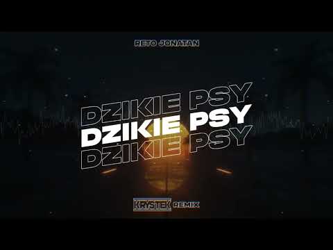 ReTo ft. Jonatan - Dzikie Psy (Krystek Remix)