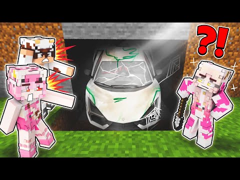 MOOCI & MILO FIND A VALUABLE TREASURE AND A LUXURY CAR!