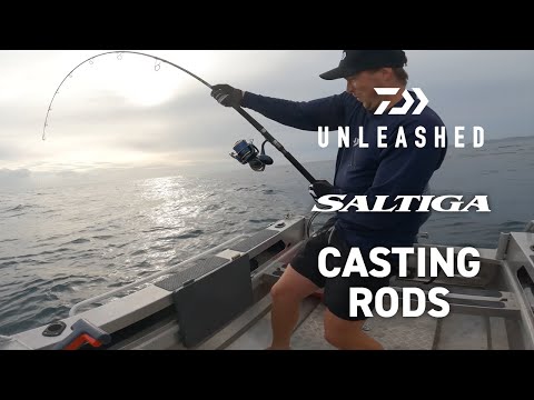 Daiwa Unleashed - Saltiga C Rod