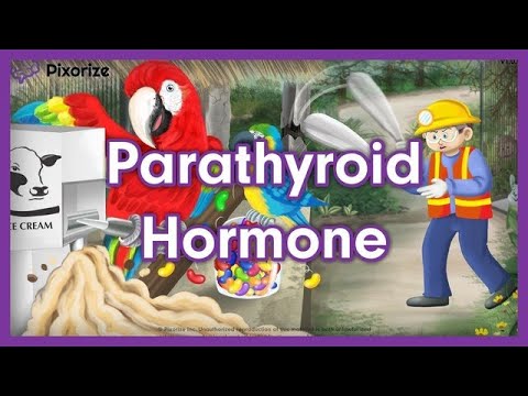 Parathyroid Hormone MCAT Mnemonic for MCAT - YouTube