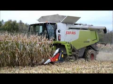 CLAAS LEXION 770 Terra-Trac Corn Harvest !