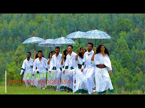 Olirraa Taarikuu / New Ethiopian Oromoo music / Alalttu /2020 new best/ affan Oromoo video clip