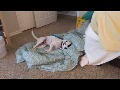 Dagny Knows Her Name