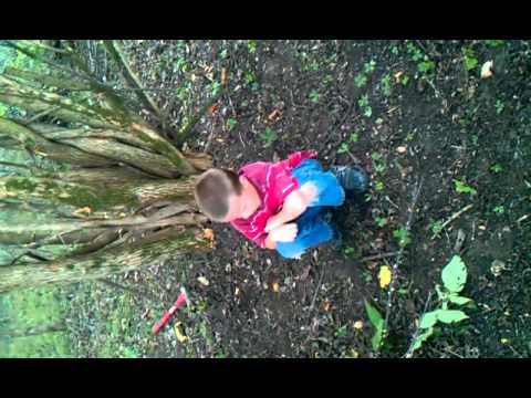 Green Ridge Missouri Home Park Clean-up