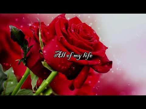 all of my life by cheat codes ft trixxie lyrics video
