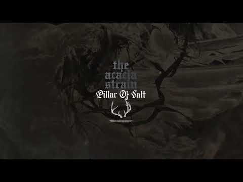 Video thumbnail for pillar of salt
